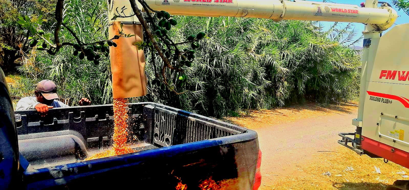 INVERSIONES & SERVICIOS ALTA VISTA S.R.L.