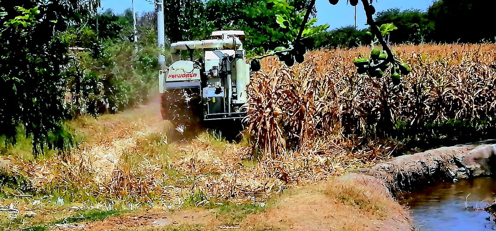 INVERSIONES & SERVICIOS ALTA VISTA S.R.L.