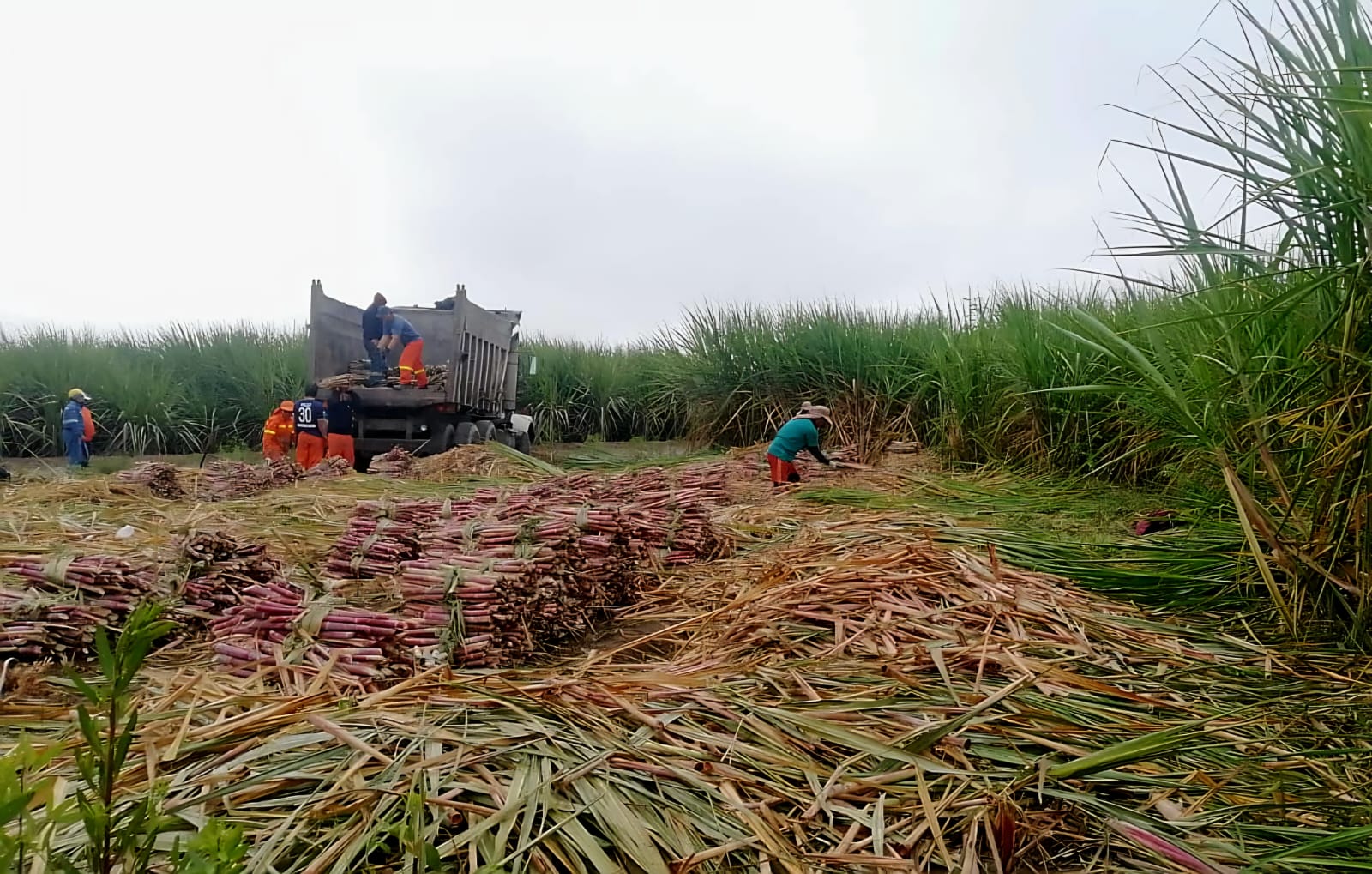 INVERSIONES & SERVICIOS ALTA VISTA S.R.L.